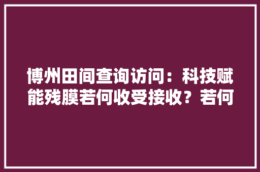 博州田间查询访问：科技赋能残膜若何收受接收？若何变废为宝？