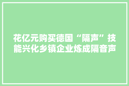 花亿元购买德国“隔声”技能兴化乡镇企业炼成隔音声樊篱“黑马”