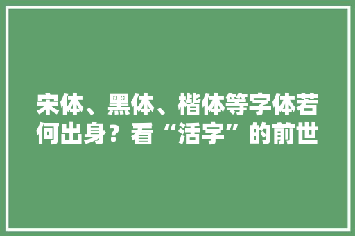 宋体、黑体、楷体等字体若何出身？看“活字”的前世今生 宋体、黑体、楷体等字体若何出身？看“活字”的前世今生 人工智能