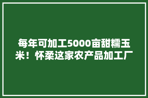 每年可加工5000亩甜糯玉米！怀柔这家农产品加工厂揭牌运营