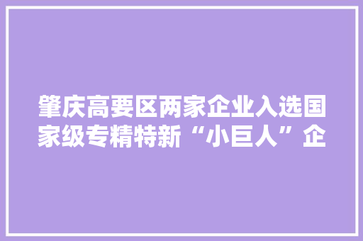 肇庆高要区两家企业入选国家级专精特新“小巨人”企业 肇庆高要区两家企业入选国家级专精特新“小巨人”企业 智能科技