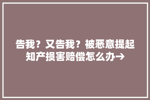 告我？又告我？被恶意提起知产损害赔偿怎么办→