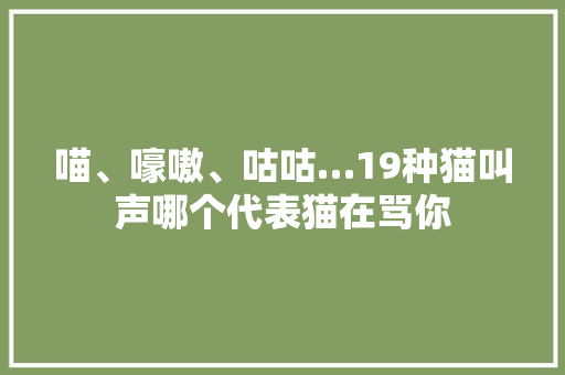 喵、嚎嗷、咕咕…19种猫叫声哪个代表猫在骂你
