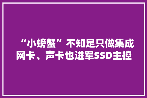 “小螃蟹”不知足只做集成网卡、声卡也进军SSD主控市场了 ...