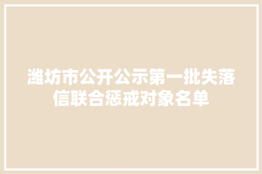 潍坊市公开公示第一批失落信联合惩戒对象名单