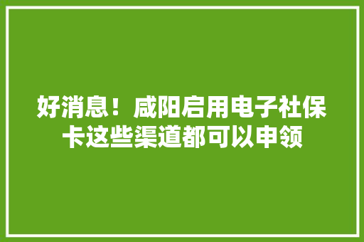 好消息！咸阳启用电子社保卡这些渠道都可以申领 好消息！咸阳启用电子社保卡这些渠道都可以申领 智能家居