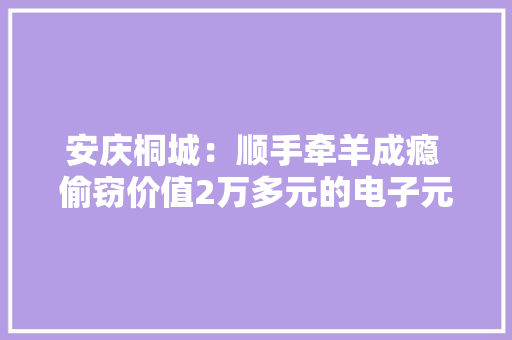 安庆桐城：顺手牵羊成瘾 偷窃价值2万多元的电子元器件被抓