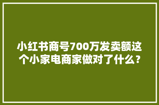 小红书商号700万发卖额这个小家电商家做对了什么？