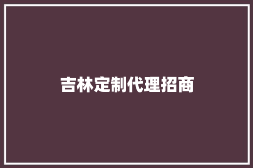 吉林定制代理招商 吉林定制代理招商 智能家居