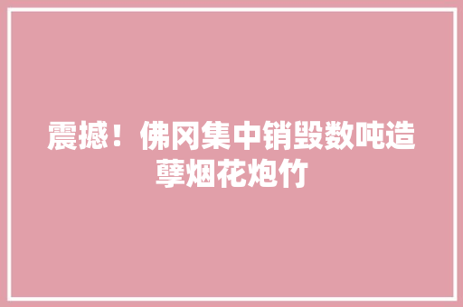 震撼！佛冈集中销毁数吨造孽烟花炮竹
