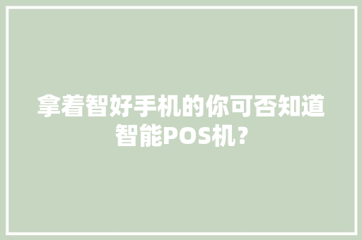 拿着智好手机的你可否知道智能POS机？ 拿着智好手机的你可否知道智能POS机？ 智能家居