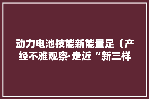 动力电池技能新能量足（产经不雅观察·走近“新三样”）