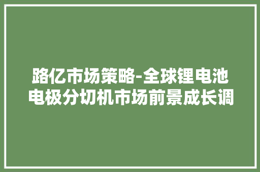 路亿市场策略-全球锂电池电极分切机市场前景成长调研申报 路亿市场策略-全球锂电池电极分切机市场前景成长调研申报 智能科技