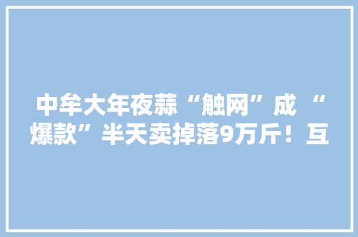 中牟大年夜蒜“触网”成 “爆款”半天卖掉落9万斤！互联网订单农业来了