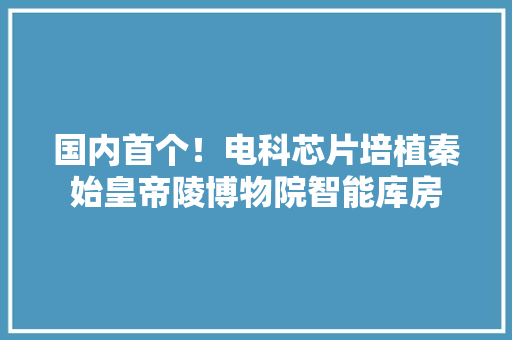 国内首个！电科芯片培植秦始皇帝陵博物院智能库房