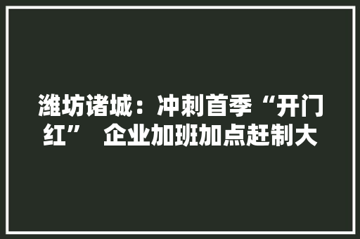 潍坊诸城：冲刺首季“开门红”  企业加班加点赶制大年夜客户订单