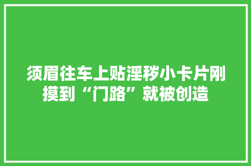 须眉往车上贴淫秽小卡片刚摸到“门路”就被创造