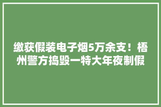 缴获假装电子烟5万余支！梧州警方捣毁一特大年夜制假窝点