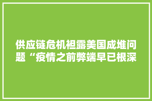 供应链危机袒露美国成堆问题“疫情之前弊端早已根深蒂固” 供应链危机袒露美国成堆问题“疫情之前弊端早已根深蒂固” 人工智能