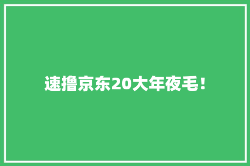 速撸京东20大年夜毛！