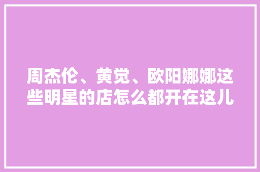 周杰伦、黄觉、欧阳娜娜这些明星的店怎么都开在这儿