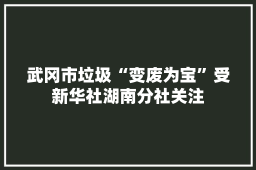 武冈市垃圾“变废为宝”受新华社湖南分社关注