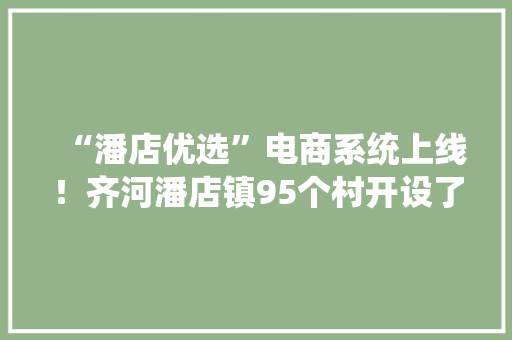 “潘店优选”电商系统上线！齐河潘店镇95个村开设了微信商号