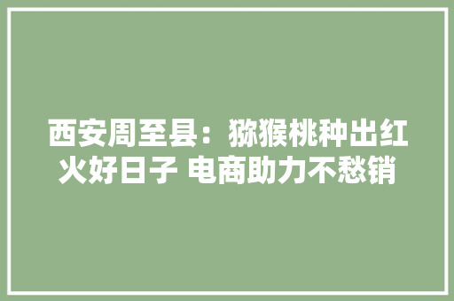 西安周至县：猕猴桃种出红火好日子 电商助力不愁销路