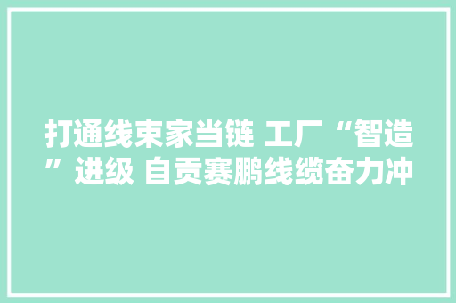 打通线束家当链 工厂“智造”进级 自贡赛鹏线缆奋力冲刺5亿年产值目标