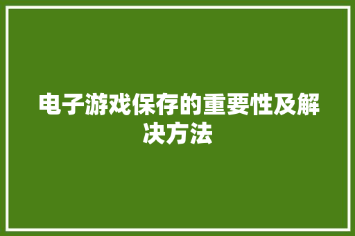 电子游戏保存的重要性及解决方法