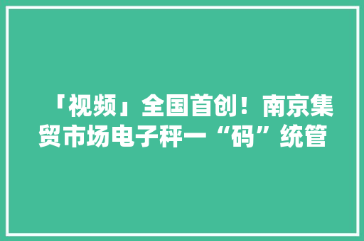 「视频」全国首创！南京集贸市场电子秤一“码”统管