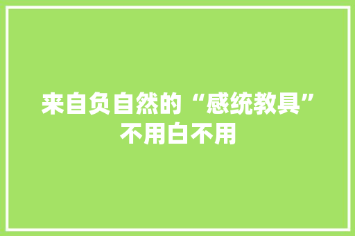 来自负自然的“感统教具”不用白不用