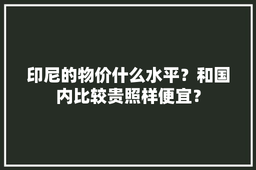 印尼的物价什么水平？和国内比较贵照样便宜？