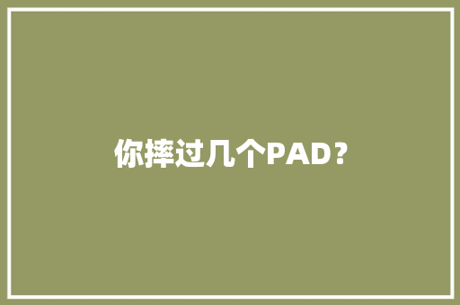 你摔过几个PAD？