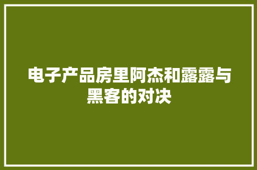 电子产品房里阿杰和露露与黑客的对决