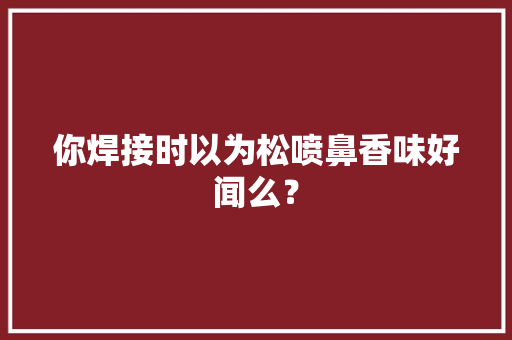 你焊接时以为松喷鼻香味好闻么？