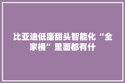 比亚迪低廉甜头智能化“全家桶”里面都有什