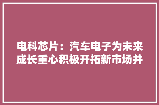电科芯片：汽车电子为未来成长重心积极开拓新市场并开拓系列产品