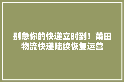 别急你的快递立时到！莆田物流快递陆续恢复运营 别急你的快递立时到！莆田物流快递陆续恢复运营 智能科技