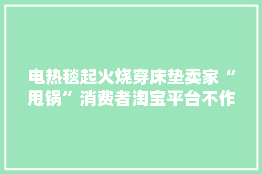 电热毯起火烧穿床垫卖家“甩锅”消费者淘宝平台不作为 电热毯起火烧穿床垫卖家“甩锅”消费者淘宝平台不作为 智能科技
