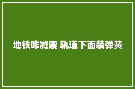 地铁咋减震 轨道下面装弹簧 地铁咋减震 轨道下面装弹簧 智能科技