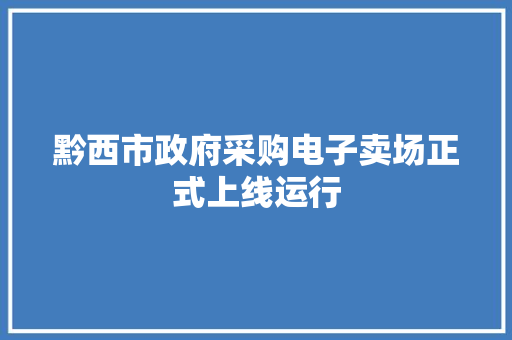 黔西市政府采购电子卖场正式上线运行