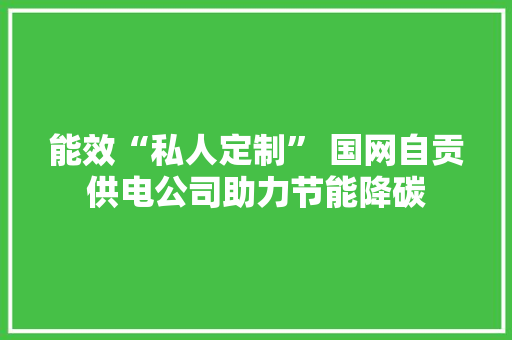 能效“私人定制” 国网自贡供电公司助力节能降碳 能效“私人定制” 国网自贡供电公司助力节能降碳 智能家居