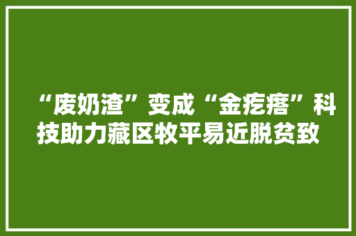 “废奶渣”变成“金疙瘩”科技助力藏区牧平易近脱贫致富