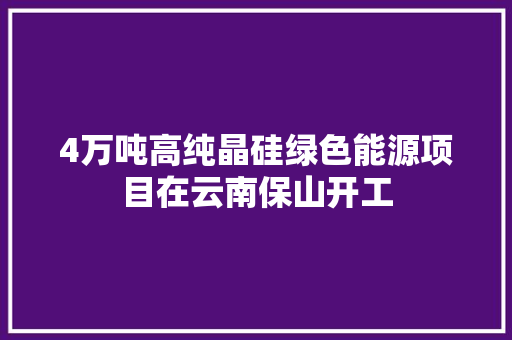 4万吨高纯晶硅绿色能源项目在云南保山开工