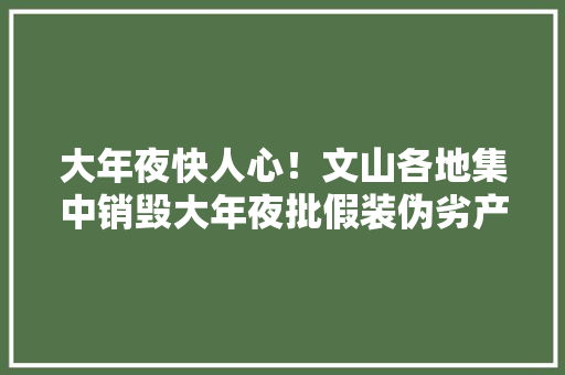 大年夜快人心！文山各地集中销毁大年夜批假装伪劣产品 大年夜快人心！文山各地集中销毁大年夜批假装伪劣产品 智能科技