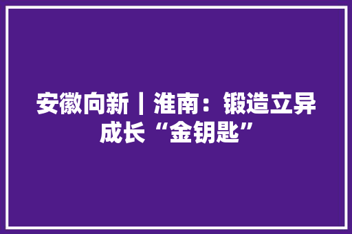 安徽向新｜淮南：锻造立异成长“金钥匙”