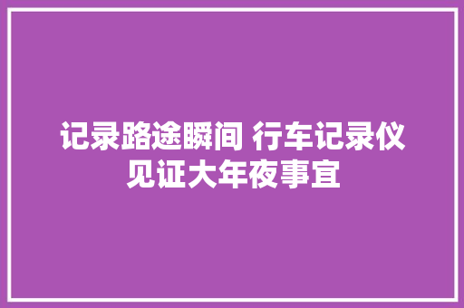 记录路途瞬间 行车记录仪见证大年夜事宜