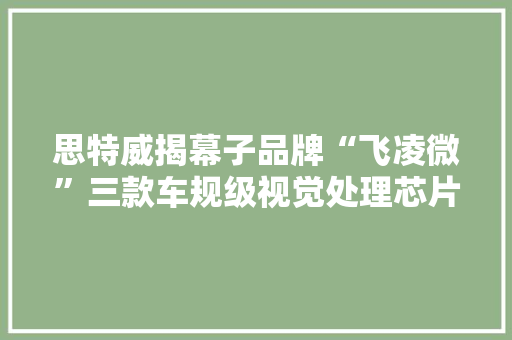 思特威揭幕子品牌“飞凌微”三款车规级视觉处理芯片首揭橥态