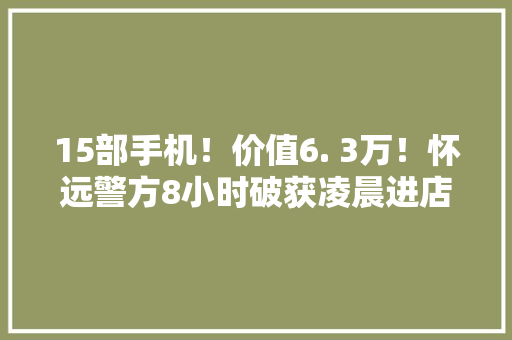 15部手机！价值6. 3万！怀远警方8小时破获凌晨进店偷窃案
